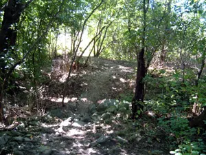 Dirt Bike Trail Building Clearing The Trail