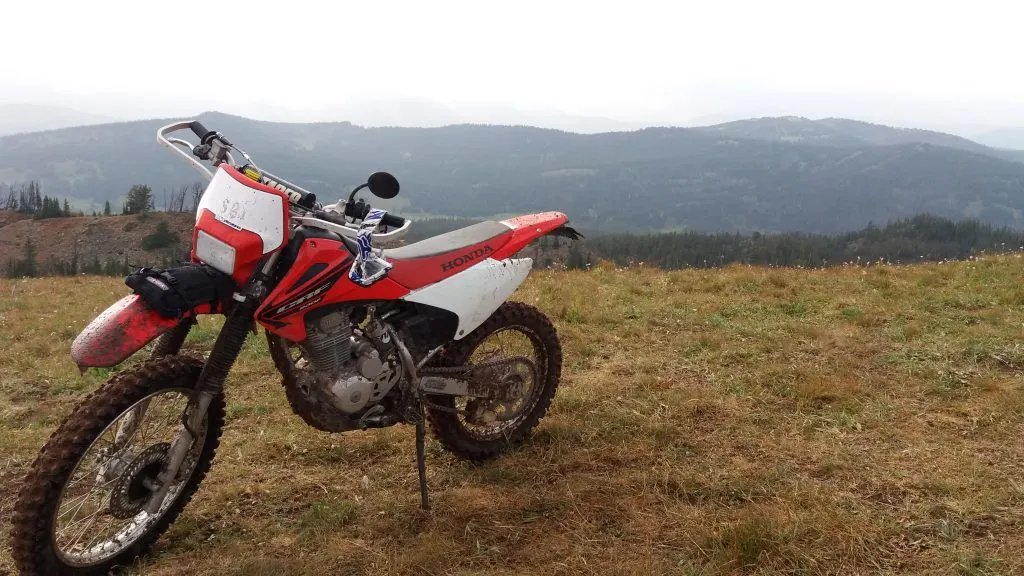 CRF230 Trial bike, which is the most common type of dirt bike for beginners.