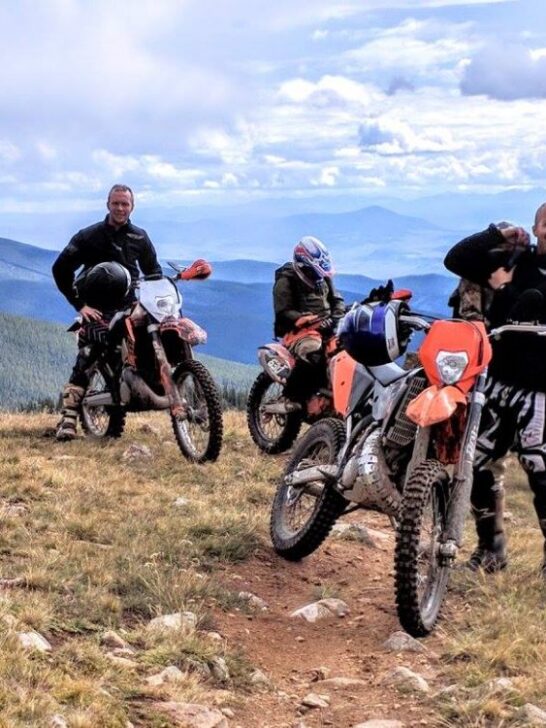 Honda CR85 Review Size & Specs You MUST Know Motocross Hideout