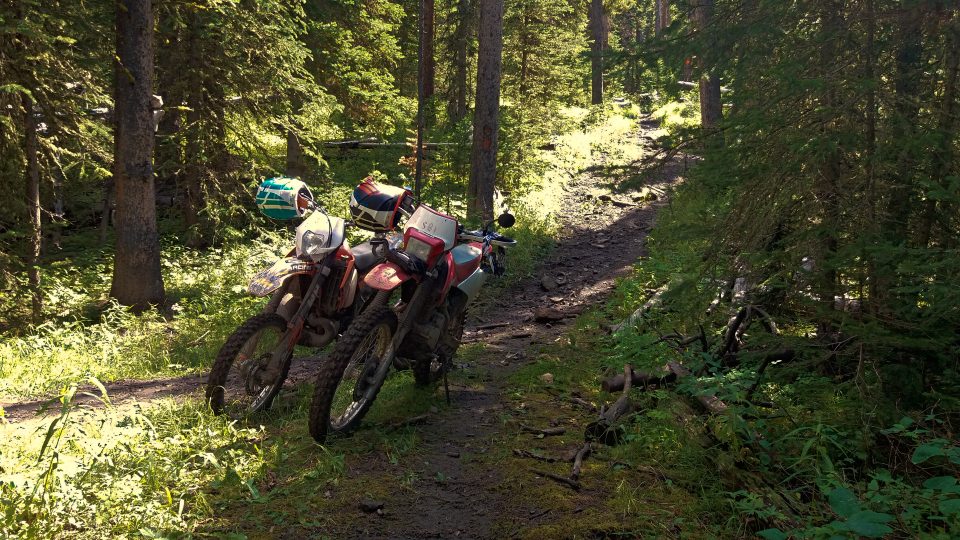 The best dirt bike for trail & track riding is the one that you're most comfortable with