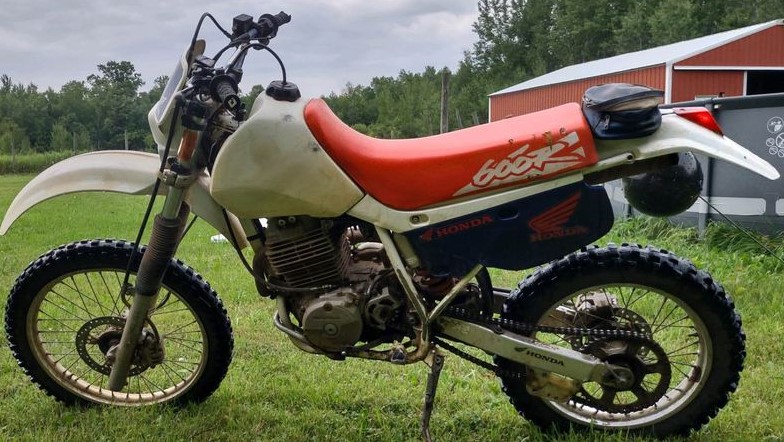 moneda Luna Oxidado Honda XR600R Review: [Specs, History & Comparison] - Motocross Hideout