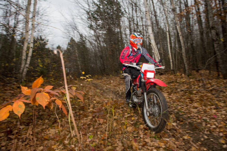 Riding a Honda CRF230F trail dirt bike on single track trails in the woods with leaves on the ground