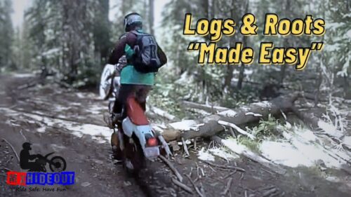 Logs Roots Made Easy 1 Courses