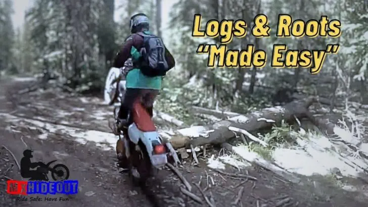 Logs Roots Made Easy 1 Logs & Roots Made Easy