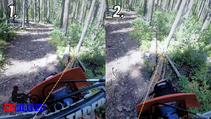 Angled Log 8 Logs & Roots Made Easy