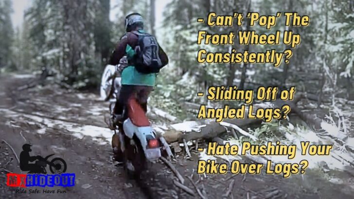 Logs Roots Made Easy 2 Logs & Roots Made Easy